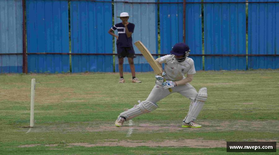 333平台携手共进，齐心迈向成功！